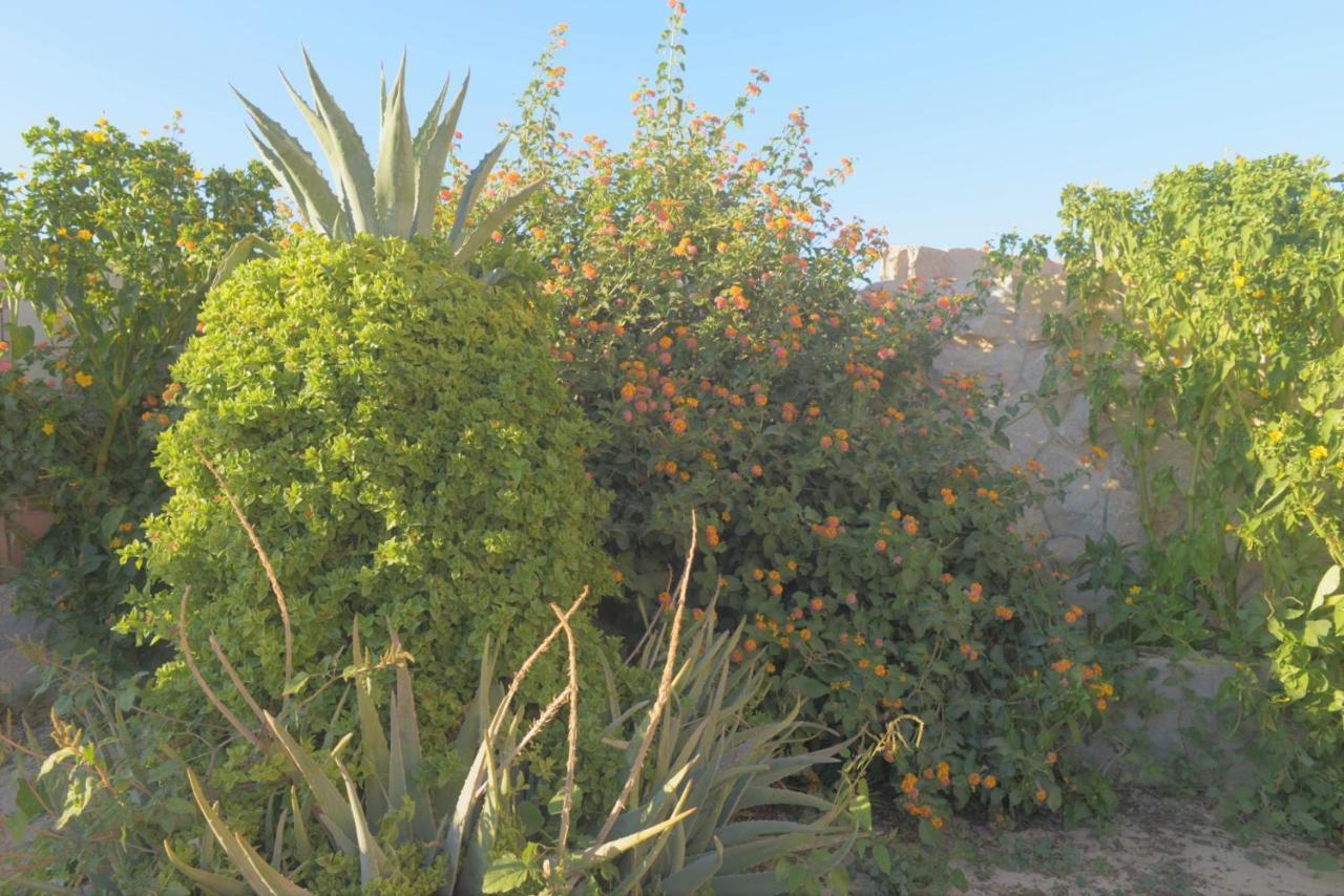 Happy Bedouin House Petra Bed and Breakfast Al Hayy Exteriör bild