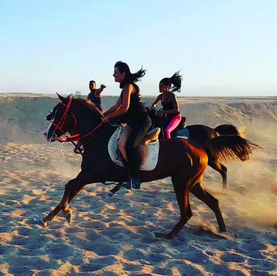 Happy Bedouin House Petra Bed and Breakfast Al Hayy Exteriör bild