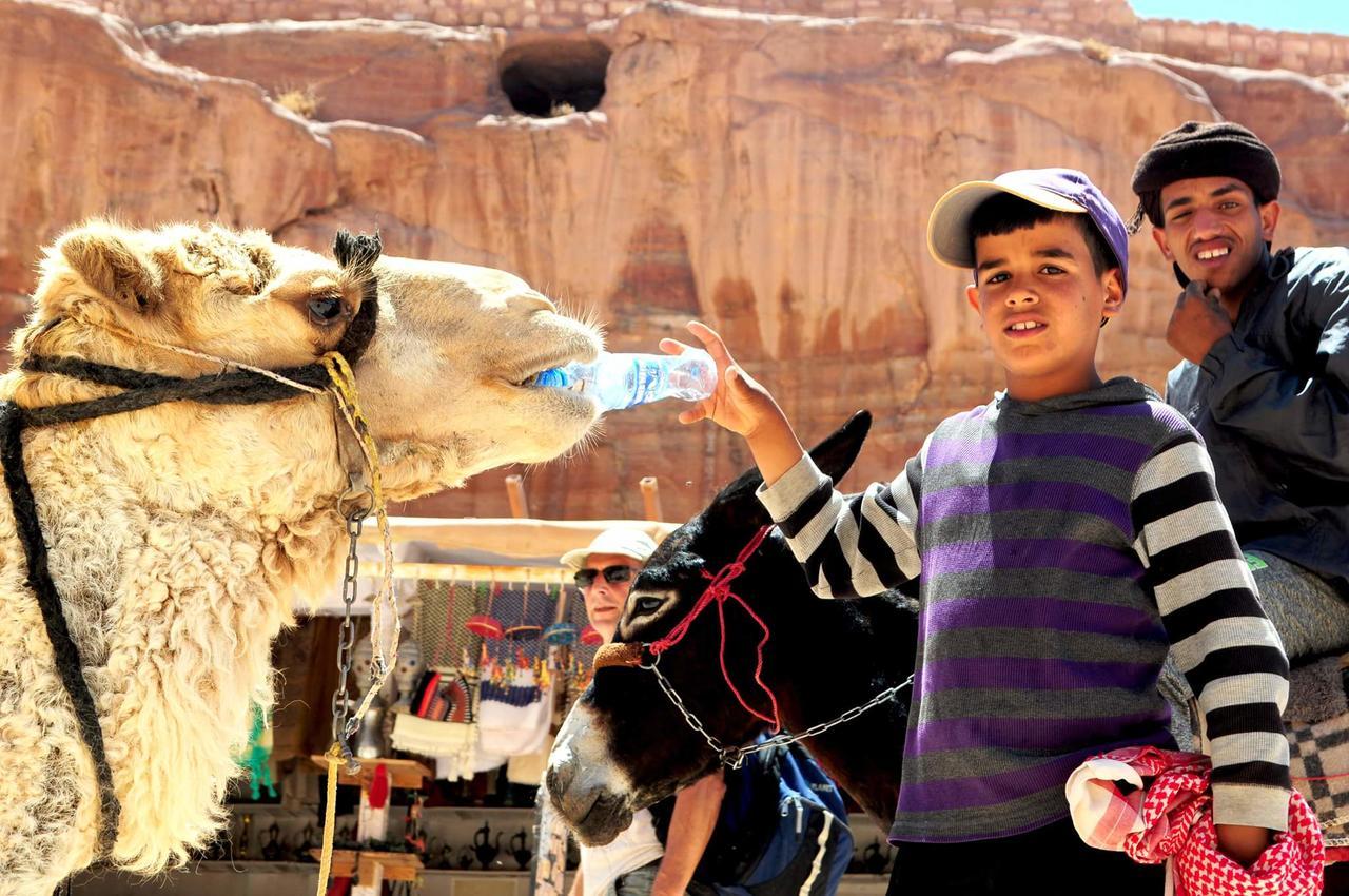 Happy Bedouin House Petra Bed and Breakfast Al Hayy Exteriör bild